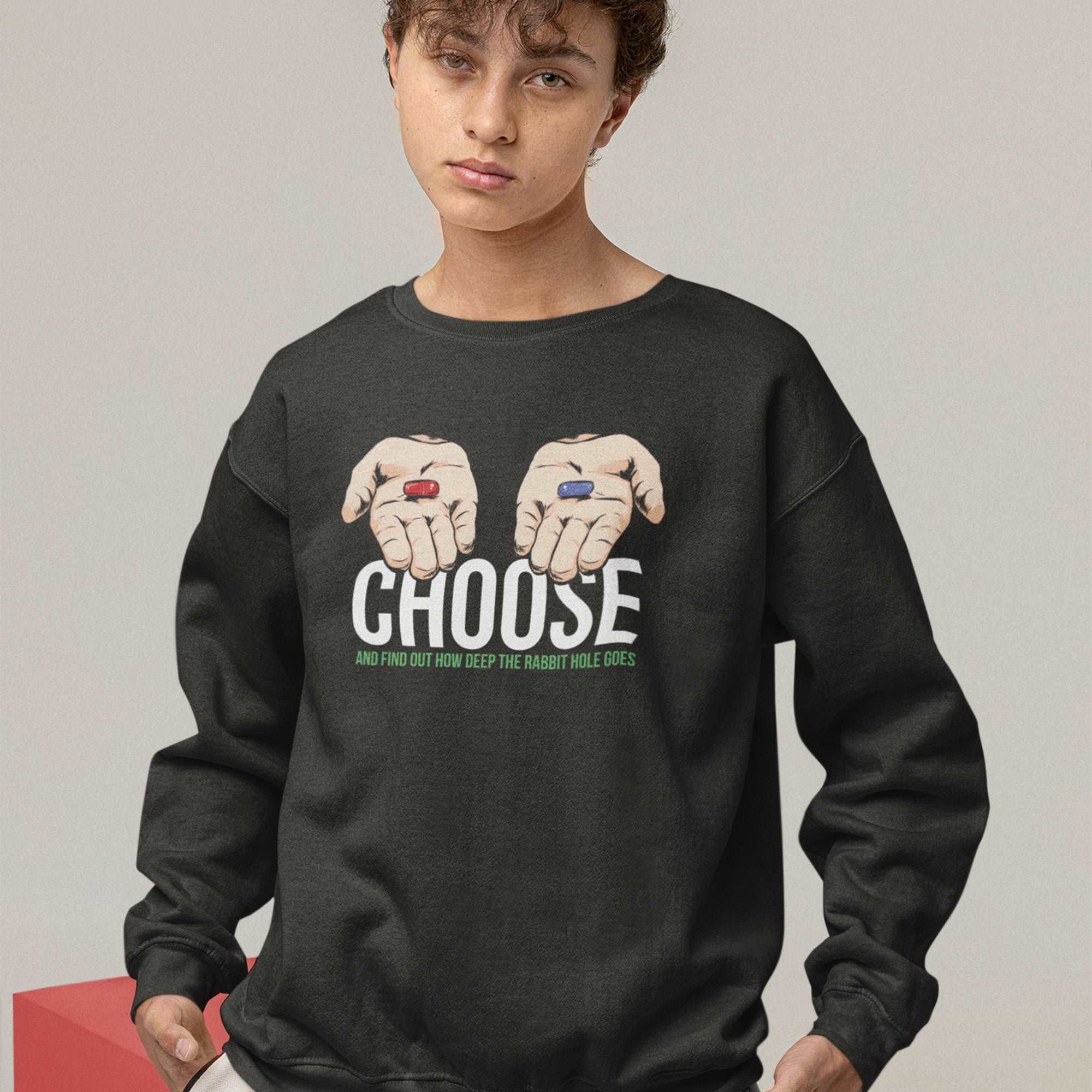 Choose And Find Out How Deep Is The Rabbit Hole Unisex Premium Sweatshirt