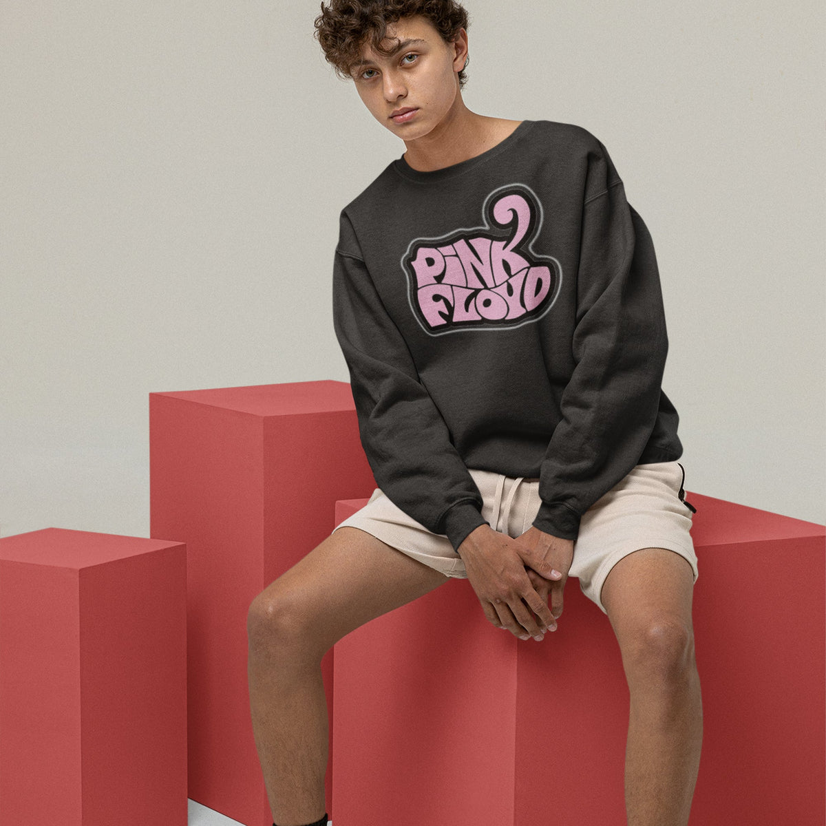 Pink Floyd Unisex Premium Sweatshirt — product photo 3