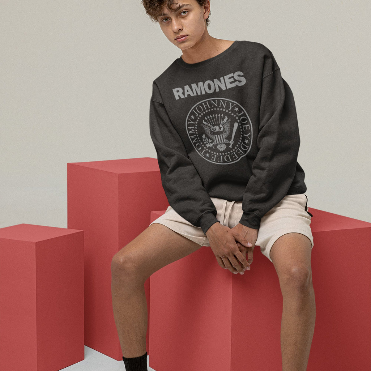 Ramones Presidential Seal Sweatshirt — Black — product photo 3
