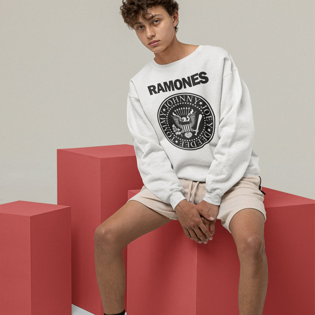 Ramones Presidential Seal Sweatshirt — White — product photo 3