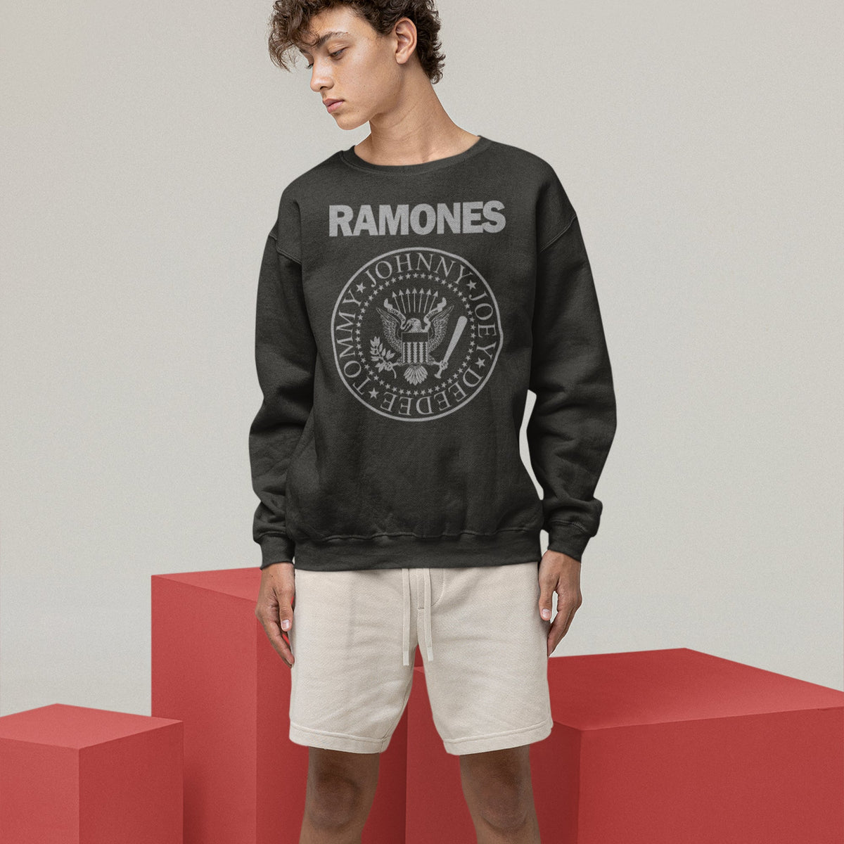 Ramones Presidential Seal Sweatshirt — Black — product photo 4