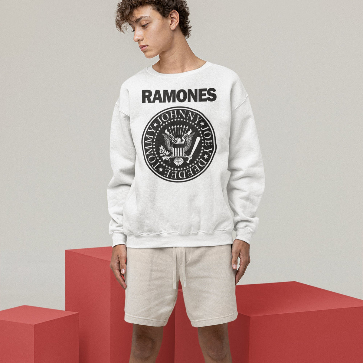 Ramones Presidential Seal Sweatshirt — White — product photo 4