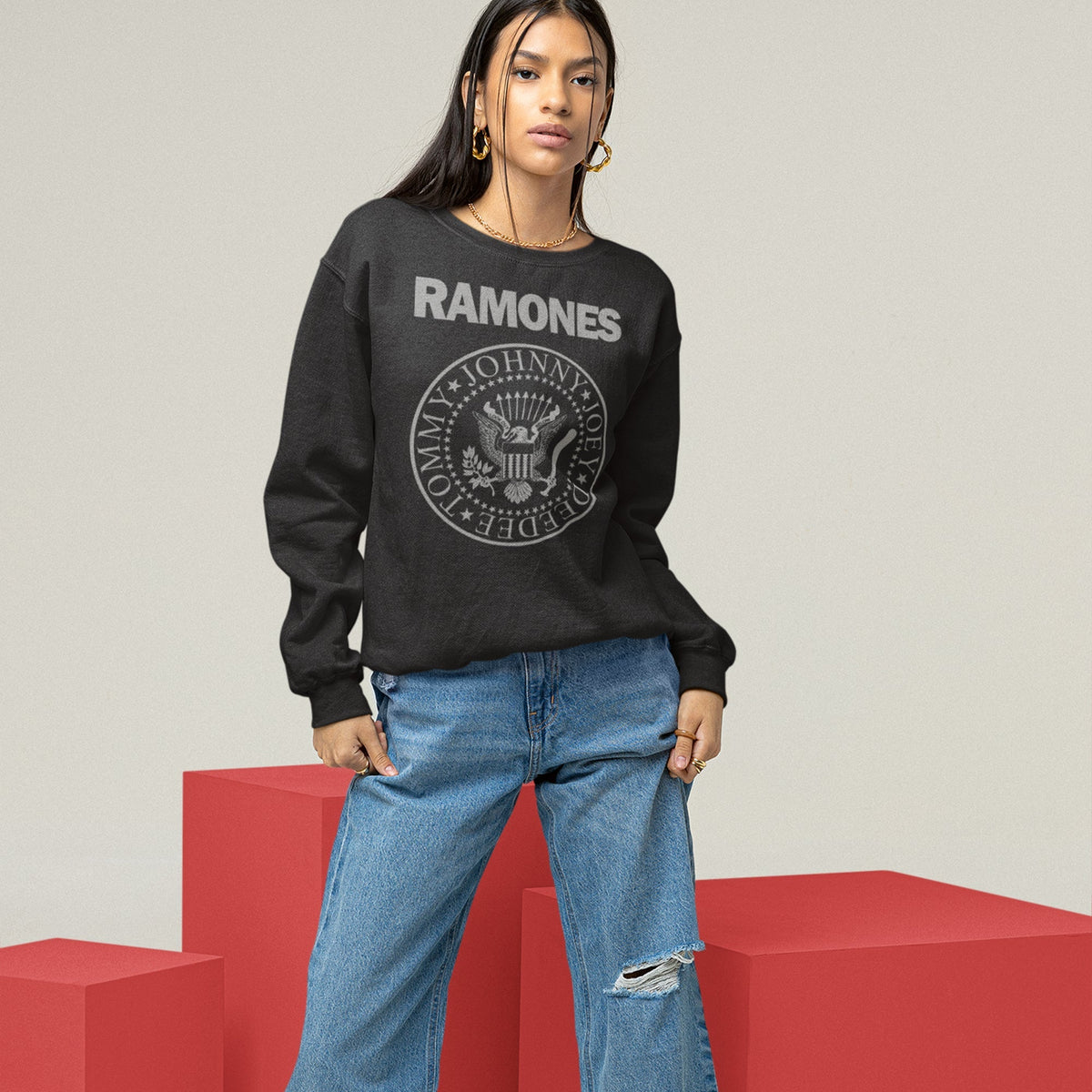 Ramones Presidential Seal Sweatshirt — Black — product photo 7