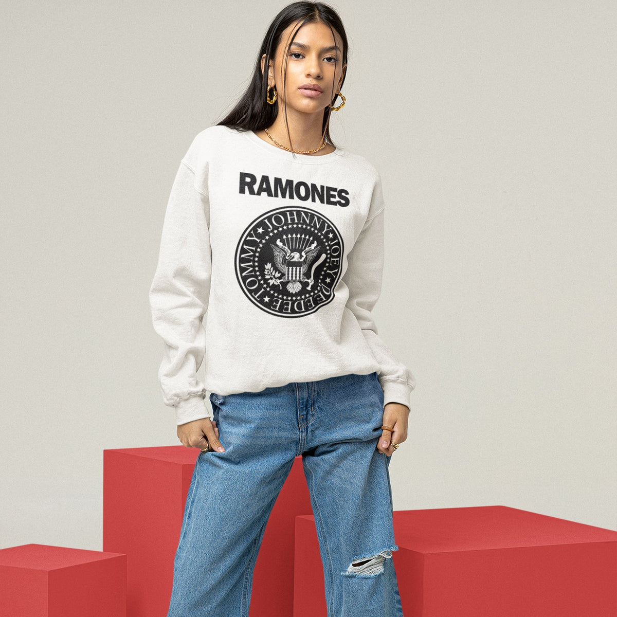 Ramones Presidential Seal Sweatshirt — White — product photo 7