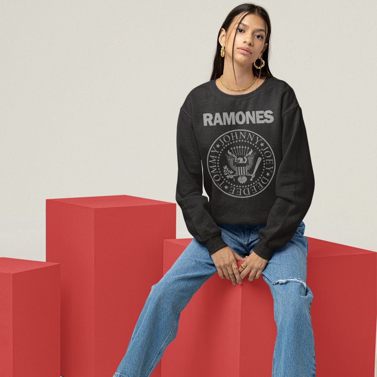 Ramones Presidential Seal Sweatshirt — Black — product photo 8