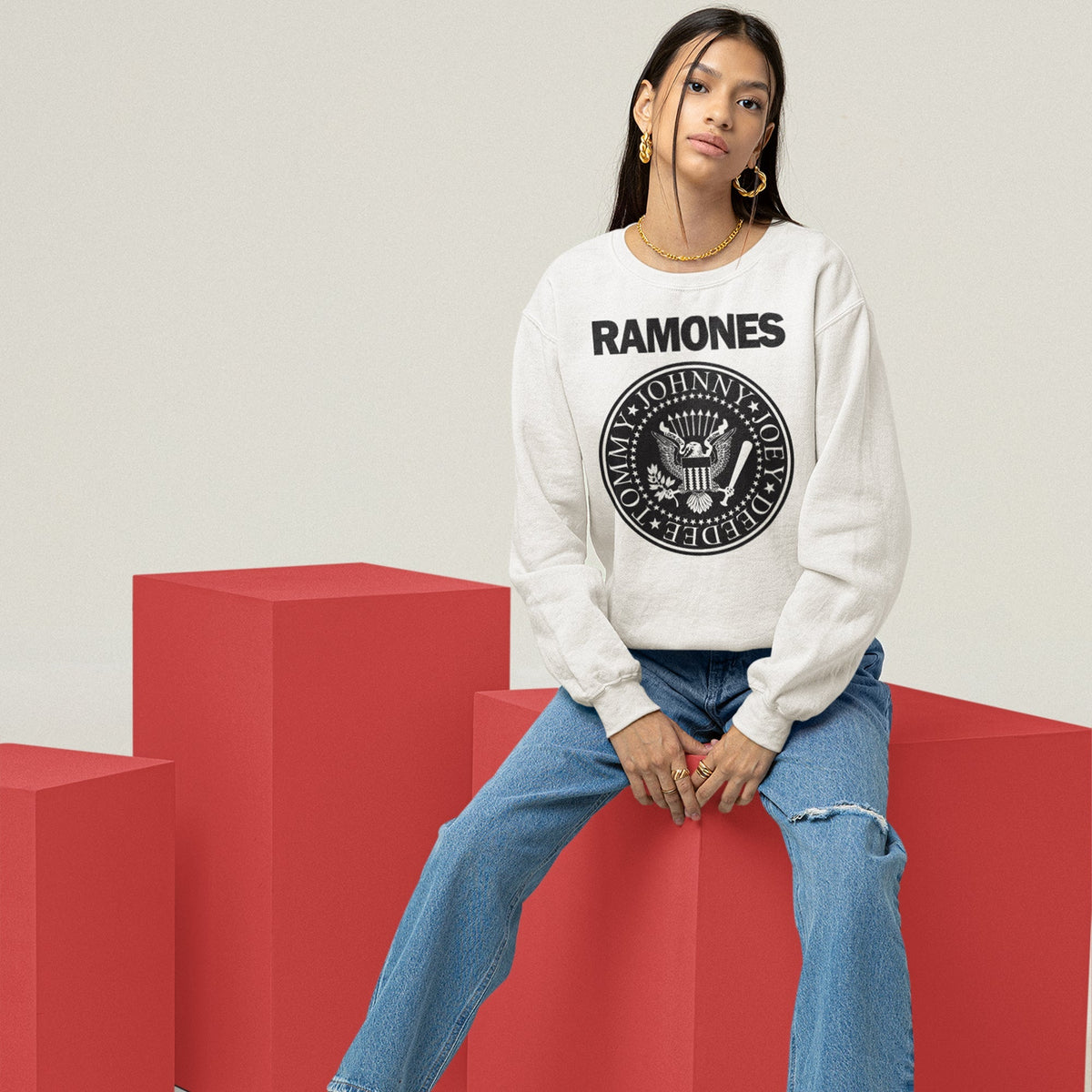 Ramones Presidential Seal Sweatshirt — White — product photo 8