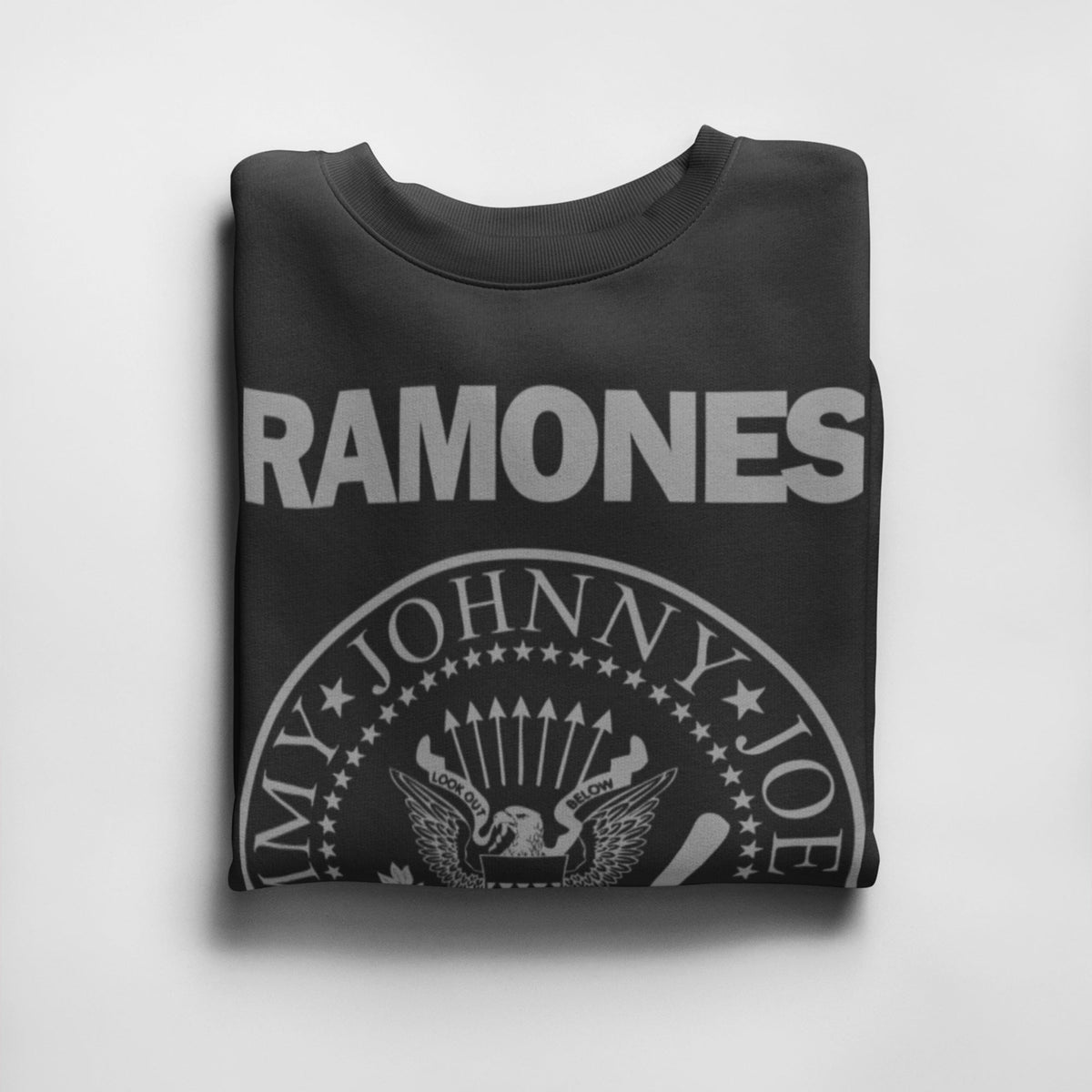 Ramones Presidential Seal Sweatshirt — Black — product photo 2