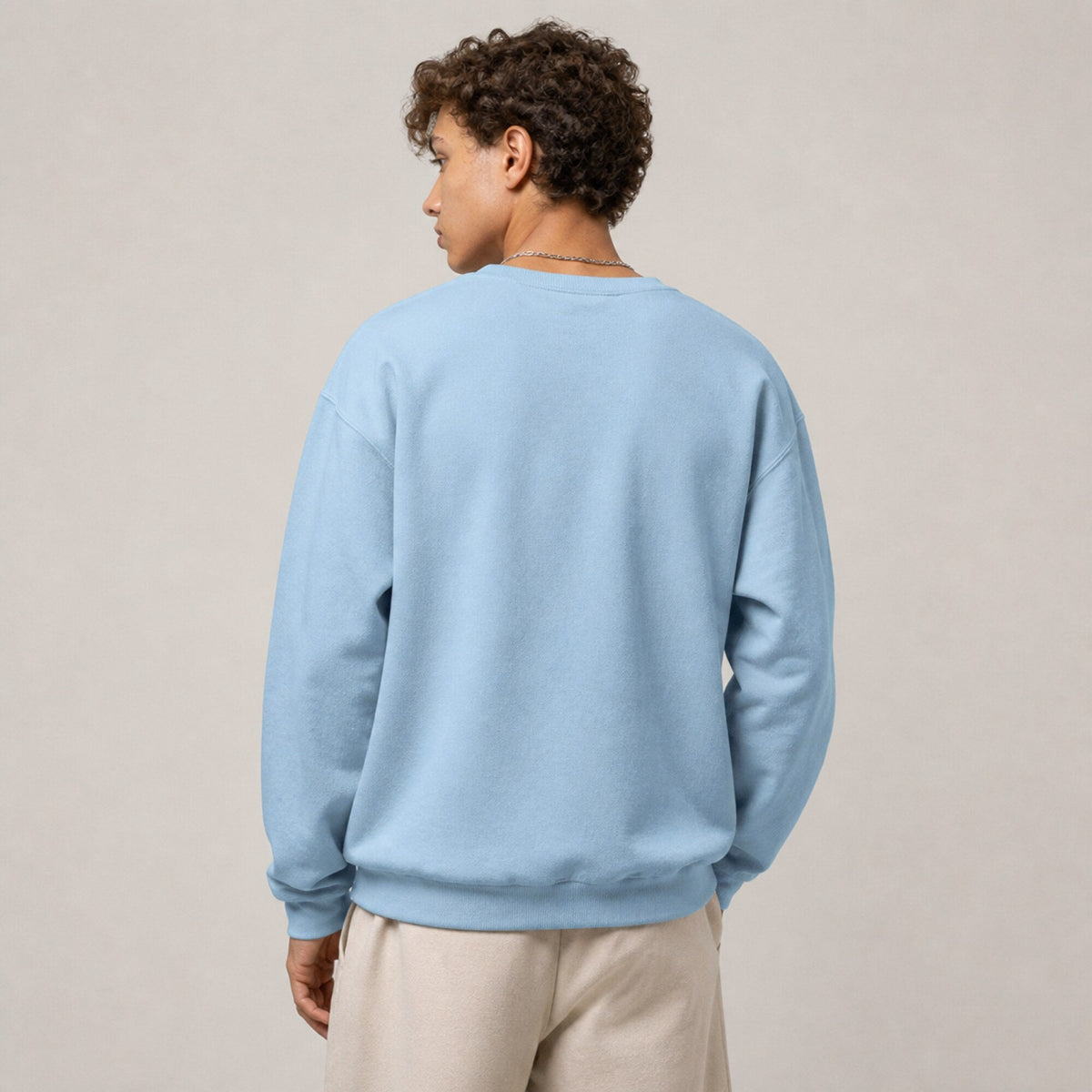 Blink 182 Unisex Premium Sweatshirt — worn on model, back