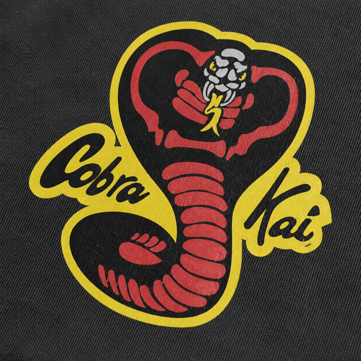 Cobra Kai Hoodie — print detail close-up