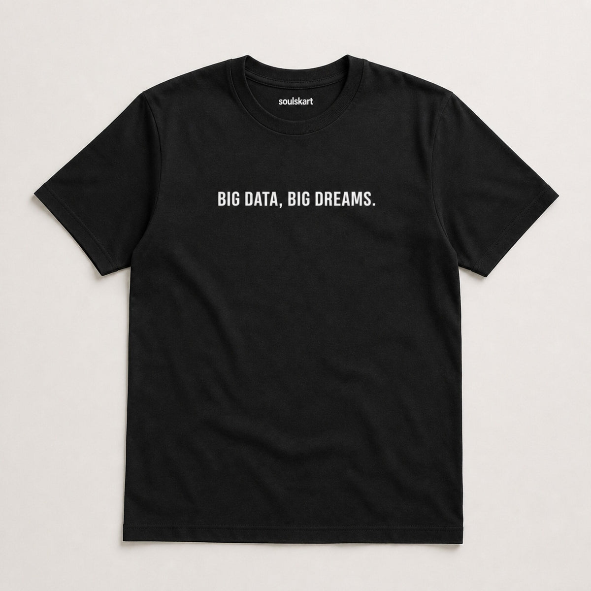 'Big Data. Big Dreams.' Data Scientist Tee — on hanger
