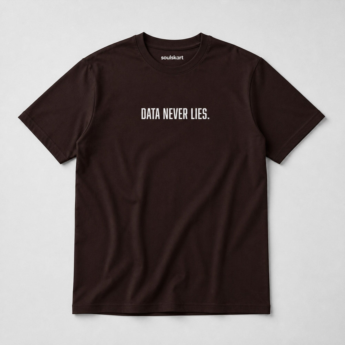 'Data Never Lies' Data Scientist Tee — on hanger