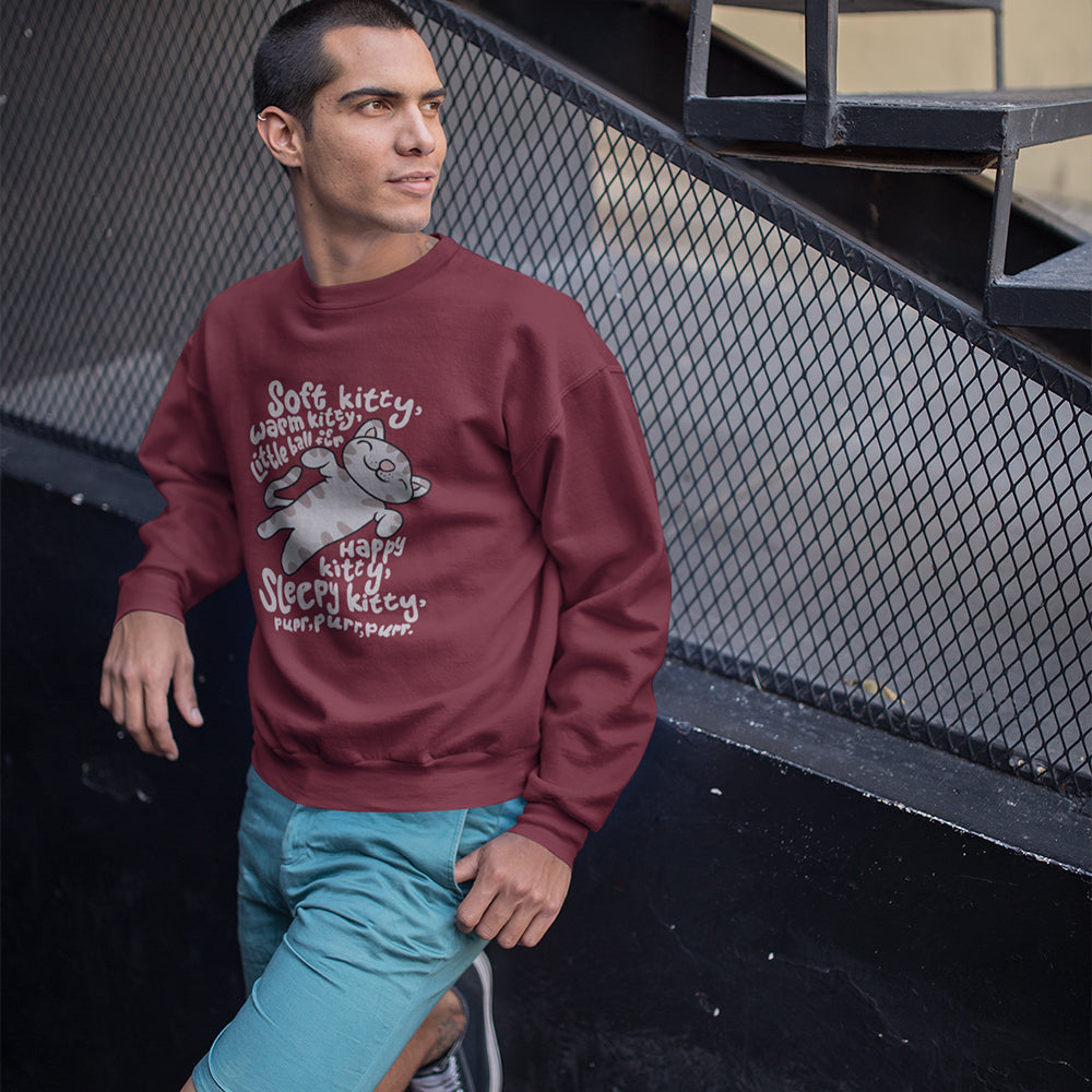 Smelly Cat Big Bang Theory Sweatshirt — product photo 5
