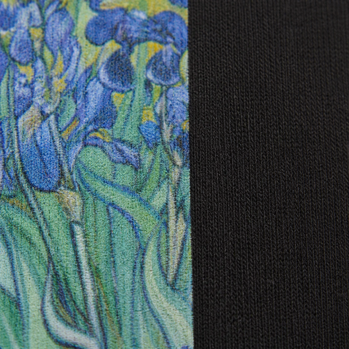 Van Gogh Irises Garden Hoodie